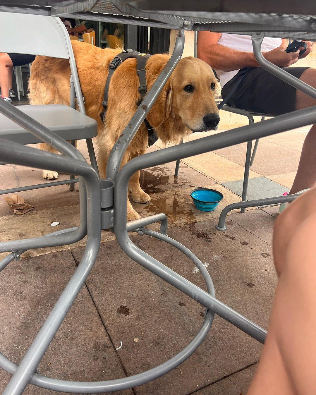 Amanda Cerny / amandacerny Nude OnlyFans Leaks 4