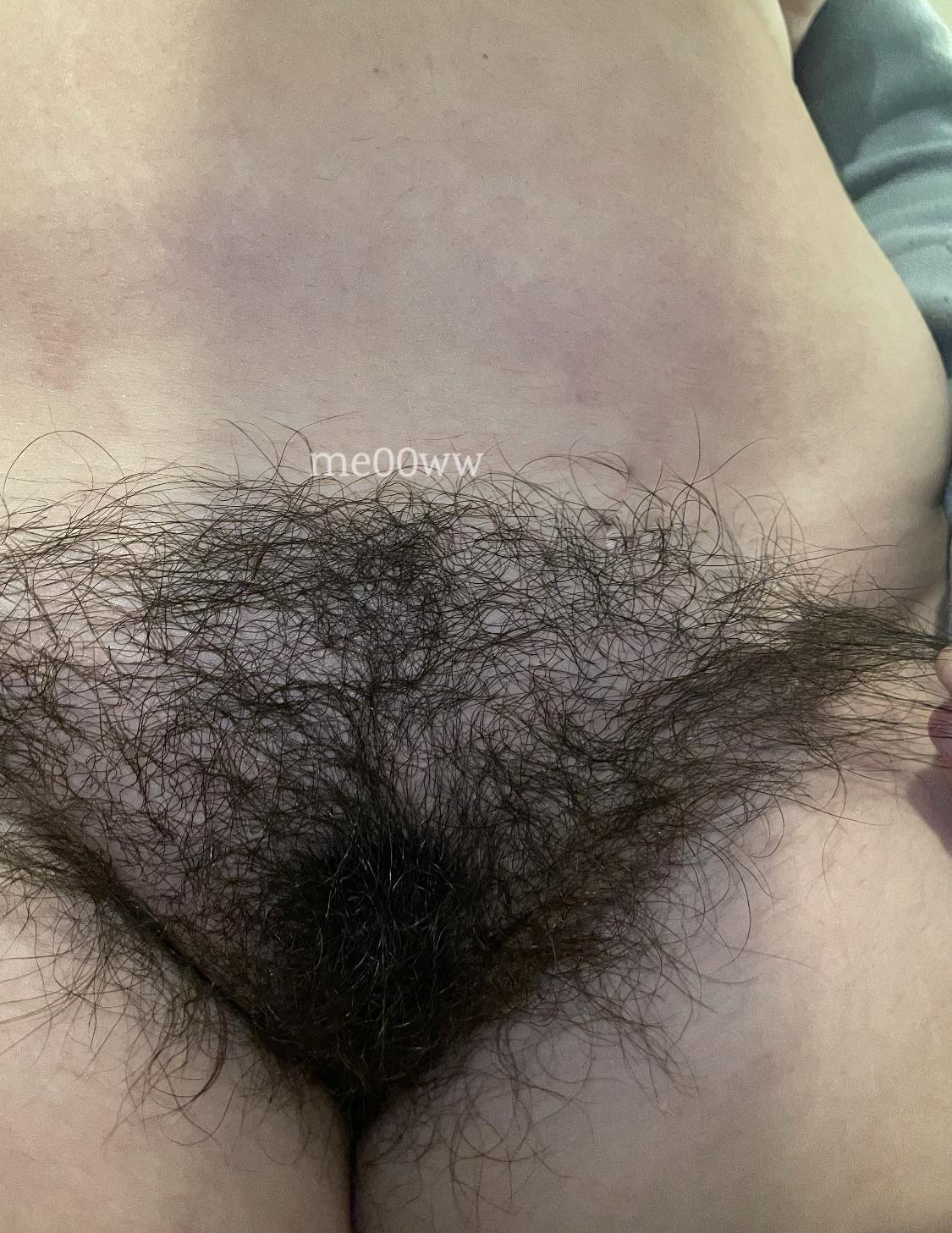 Hairy Women (pearlygirly06) Nude OnlyFans Leaks (27 Photos) – ( ͡° ͜ʖ ͡°)  |The Fappening | Frappening