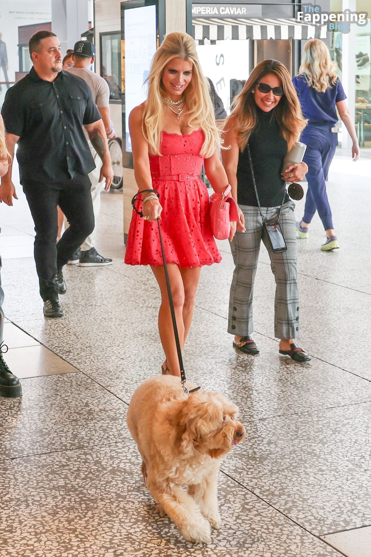 Jessica Simpson Steals the Scene in a Colorful Dress at a Petsafe Event