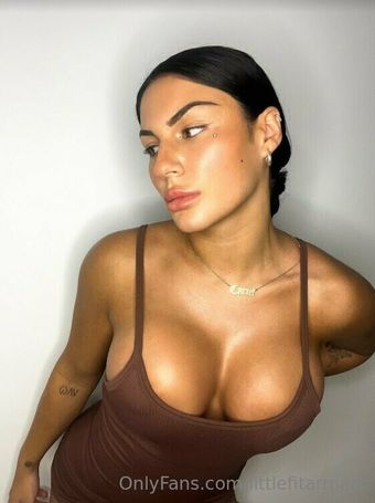 Littlefitarmani Nude Leaks OnlyFans Photo 36