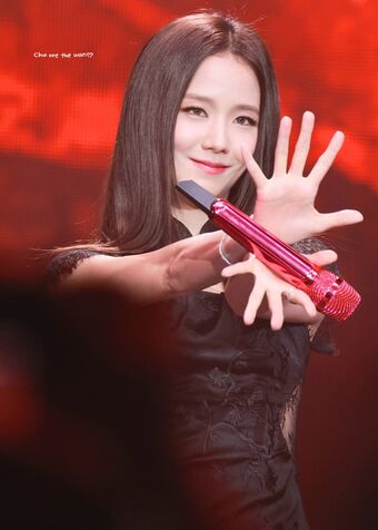 Jisoo Nude Leaks OnlyFans Photo 722