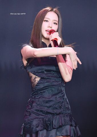 Jisoo Nude Leaks OnlyFans Photo 726