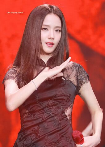 Jisoo Nude Leaks OnlyFans Photo 721