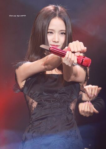 Jisoo Nude Leaks OnlyFans Photo 723