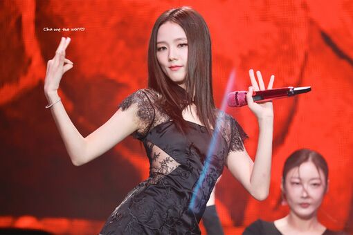 Jisoo Nude Leaks OnlyFans Photo 724