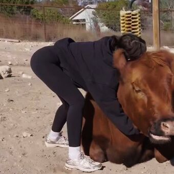 Sakura Shymko Nude Leaks OnlyFans Photo 91