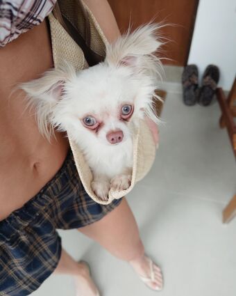 Vitória Strada Nude Leaks OnlyFans Photo 64