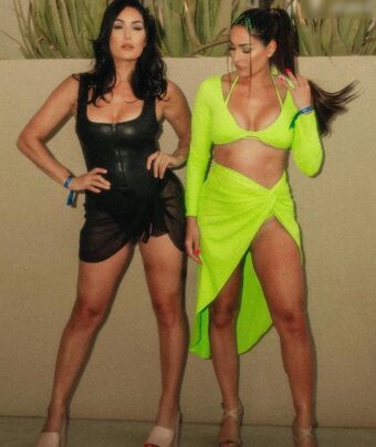 Brie Bella Nude Leaks OnlyFans Photo 10